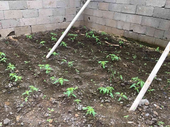 Kırşehir’de Uyuşturucu Tacirlerine Büyük Darbe