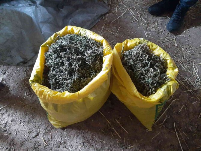 Kırşehir’de Uyuşturucu Tacirlerine Büyük Darbe