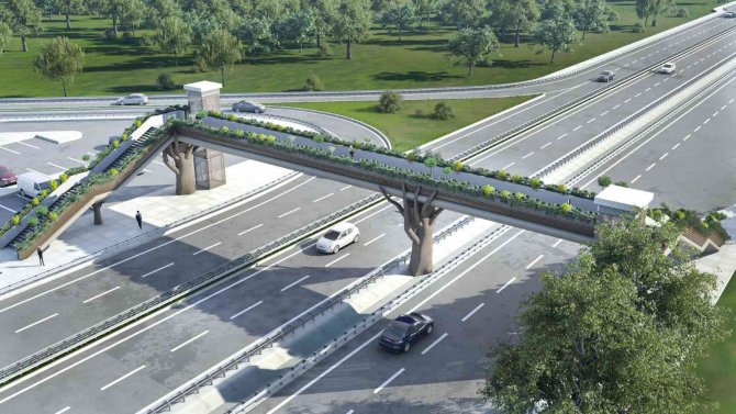 Ormanya’ya Doğa Temalı Üst Geçit
