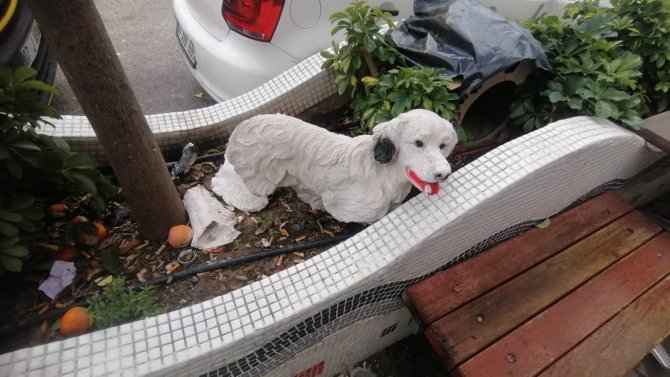 İ̇ş Yerinin Önündeki 25 Liralık Köpek Maketlerini Çaldılar