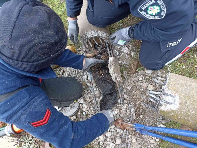 İ̇tfaiyeden Hayat Kurtaran Müdahale