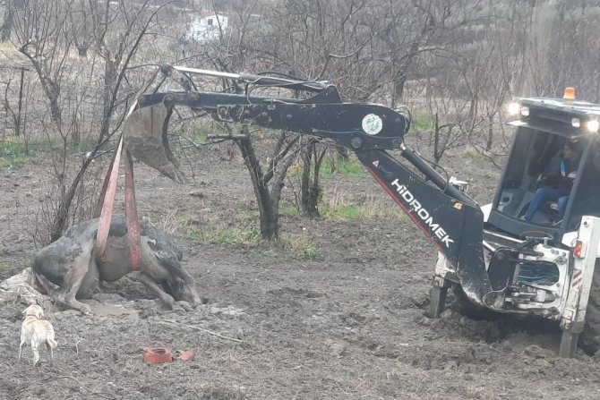 İ̇tfaiyeden Hayat Kurtaran Müdahale