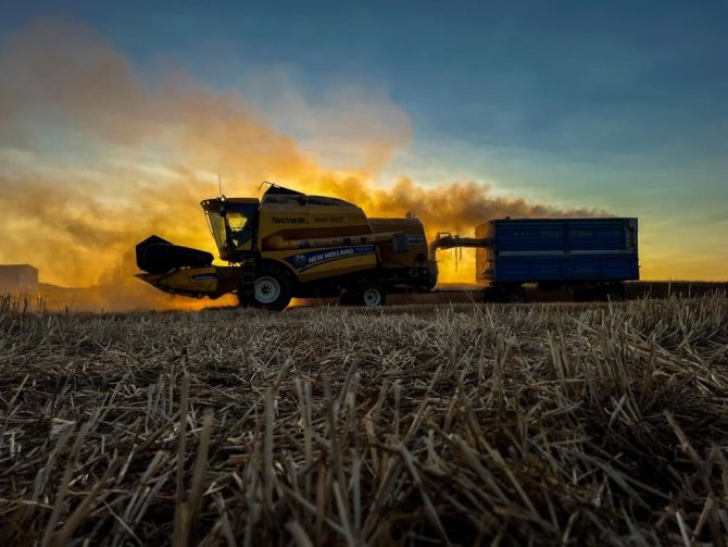 Prof. Dr. Yusuf Doğan Yağışların Azalmasına Dikkat Çekti