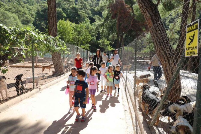 Marmaris’te 220 Can Sahiplendirildi