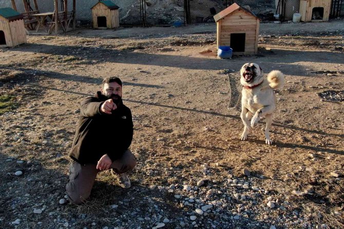 Kar Yağmadı, Anadolu Aslanı Kış Zırhını Giyemedi
