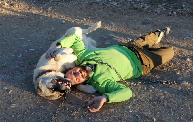Kar Yağmadı, Anadolu Aslanı Kış Zırhını Giyemedi