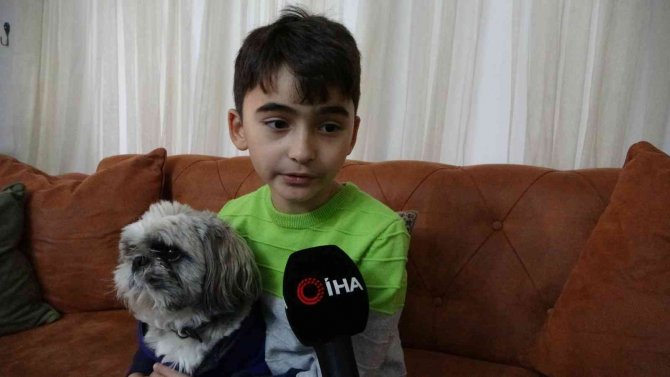 Pendik’te Okula Giden 10 Yaşındaki Çocuğu Sokak Köpekleri Saldırdı