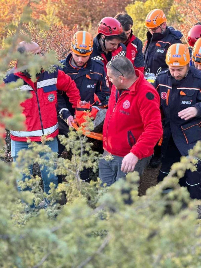 Ormanda Yürüyüş Hastanede Bitti