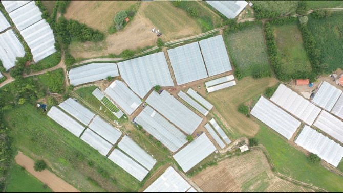 Sarıcakaya, Gözünü Akıllı Seralara Dikti