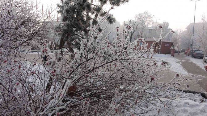 Göle Eksi 22,4 Derece İle Dondu