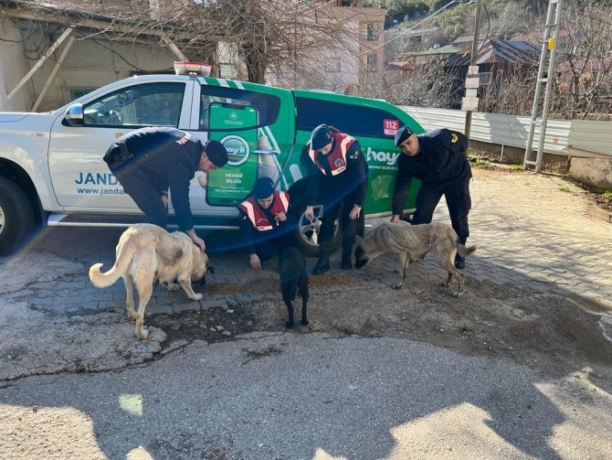 Sokak Hayvanlarına Jandarma Şefkati