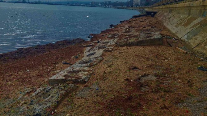 Fırtına Tekirdağ Sahillerini Kızıla Boyadı