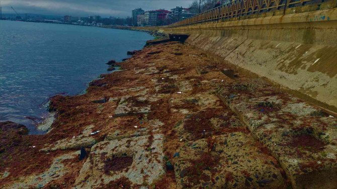 Fırtına Tekirdağ Sahillerini Kızıla Boyadı