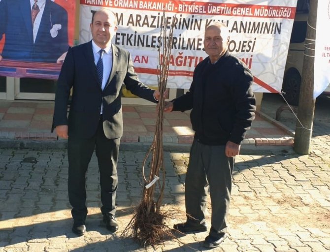 Altıparmak Kirazı Yaygınlaşıyor