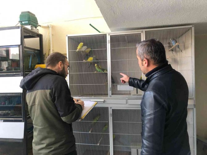 Evcil Hayvan Dükkanlarına Yönelik Denetim
