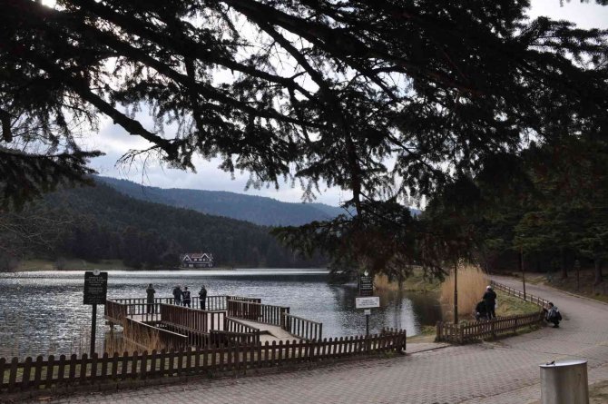 Doğa Tutkunlarının Vazgeçilmez Adresi: Gölcük Tabiat Parkı