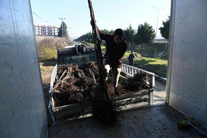 2023 Yılının İlk Fidan İhracatı Bulgaristan’a Gerçekleşti