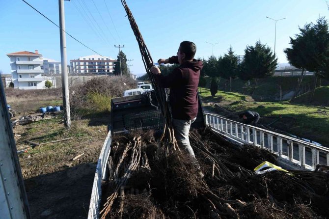 2023 Yılının İlk Fidan İhracatı Bulgaristan’a Gerçekleşti