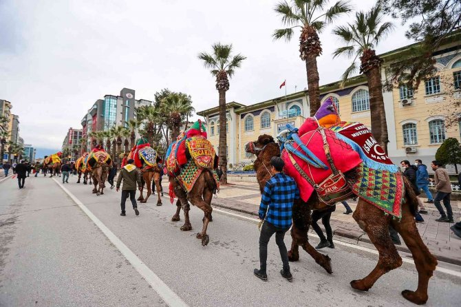 Pehlivan Develer Görücüye Çıkıyor