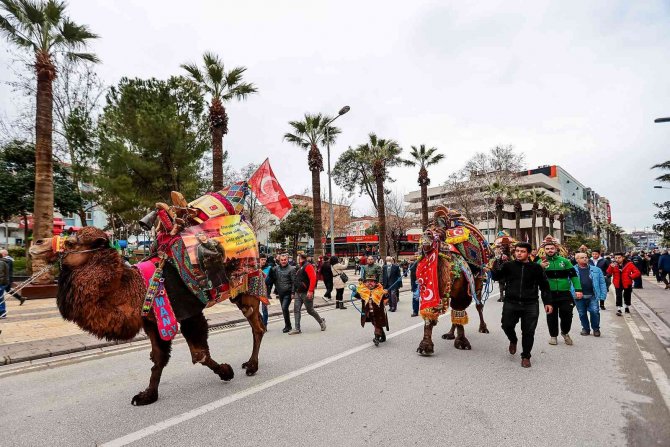 Pehlivan Develer Görücüye Çıkıyor