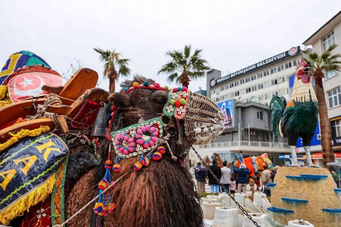 Pehlivan Develer Görücüye Çıkıyor