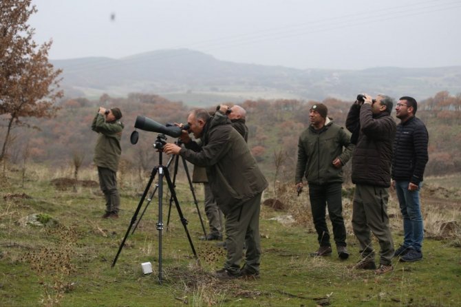 Karakoçan’da Yaban Keçisi Envanter Çalışması Yapıldı