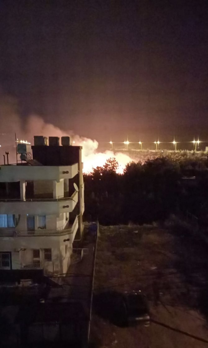 İ̇skenderun’da Ağaçlık Alanda Çıkan Yangın Paniğe Neden Oldu