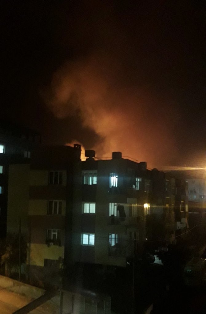 İ̇skenderun’da Ağaçlık Alanda Çıkan Yangın Paniğe Neden Oldu