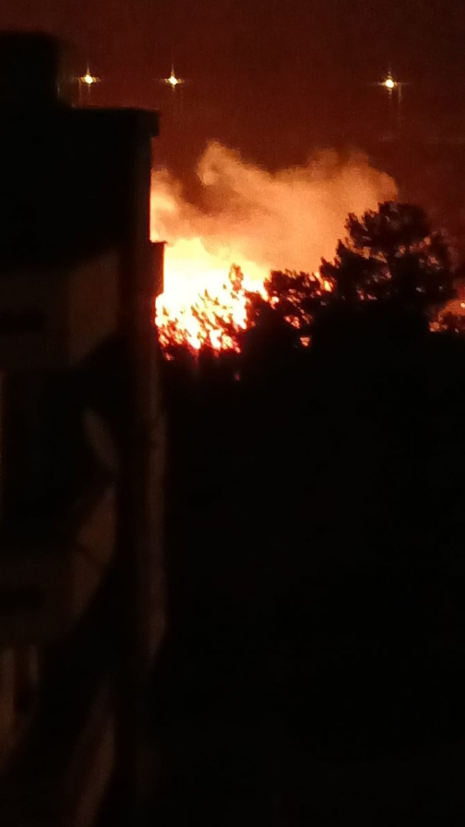 İ̇skenderun’da Ağaçlık Alanda Çıkan Yangın Paniğe Neden Oldu