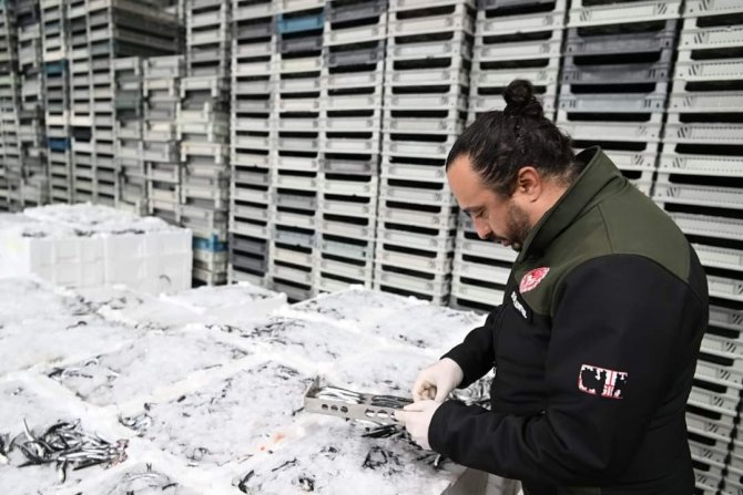 Kayseri’de Eş Zamanlı "Balık" Denetimi