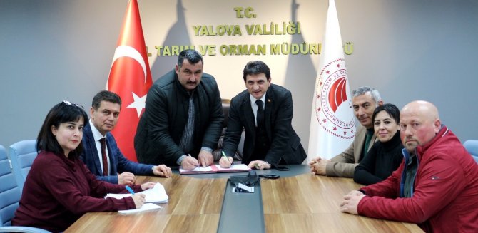 Yalova Kıvırcığı Koyununda 3. Dönem Başladı