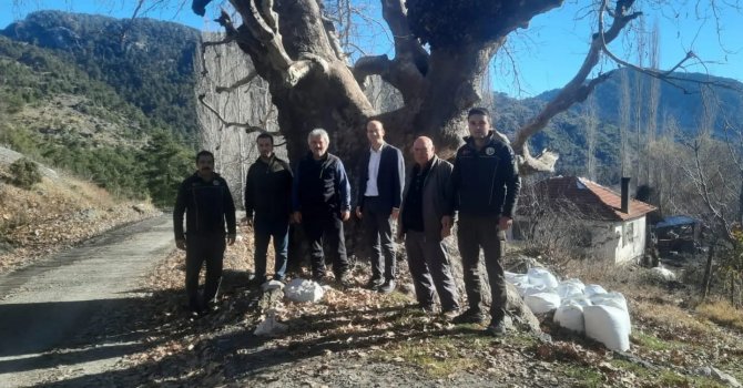 Köyceğiz Otmanlar Ve Karaçam’da Bisiklet Rotaları Tespit Edildi