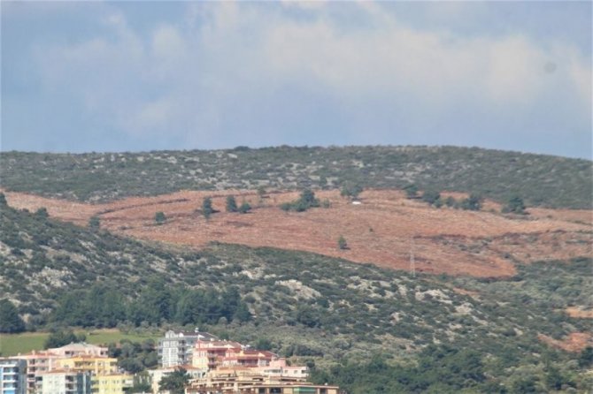 Kuşadası’nda Kamu Arazisi Operasyonunda 4 Tutuklama