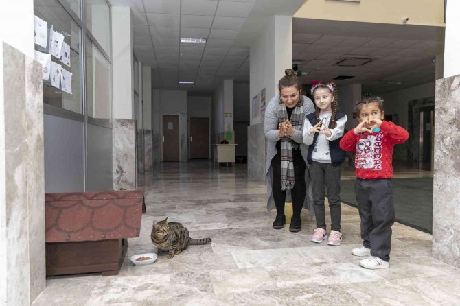 Minik Ela’ya ’Kedi Evi’ Sürprizi