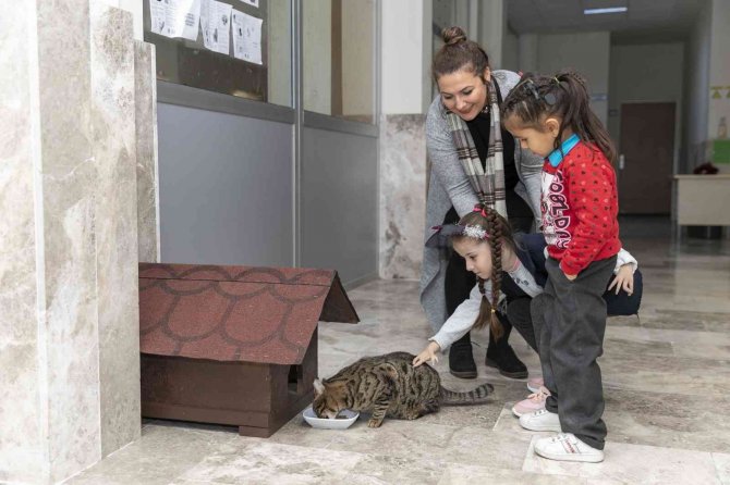 Minik Ela’ya ’Kedi Evi’ Sürprizi