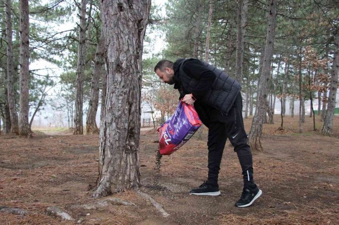 Kırsaldaki Sokak Hayvanları Unutulmadı