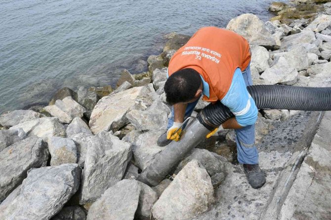 Kuşadası’nda 70 Bin Ton Evsel Atık Toplandı