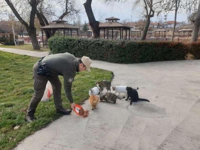 Sokak Hayvanlarına Haydi̇ Ekipleri Müdahalesi