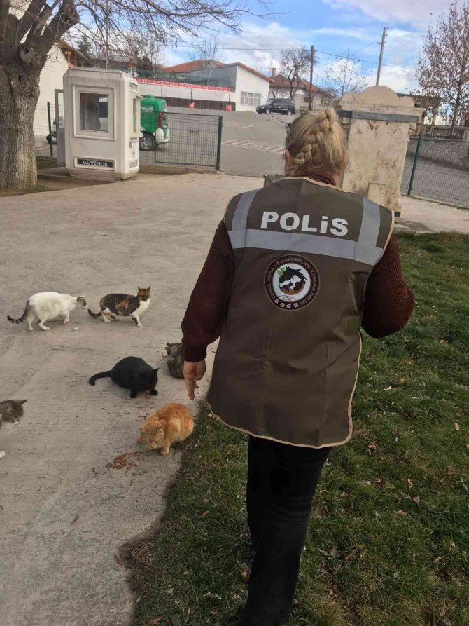 Sokak Hayvanlarına Haydi̇ Ekipleri Müdahalesi