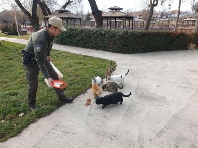 Sokak Hayvanlarına Haydi̇ Ekipleri Müdahalesi