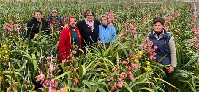 Bakan Danışmanı Dönmez, Yalova’da Kent Tarımı Projelerini İnceledi