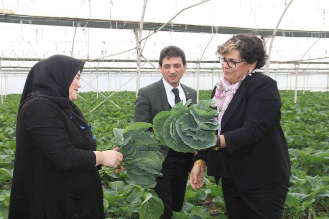 Bakan Danışmanı Dönmez, Yalova’da Kent Tarımı Projelerini İnceledi