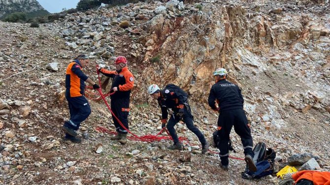 Uçuruma Düşen Koyun Kurtarıldı
