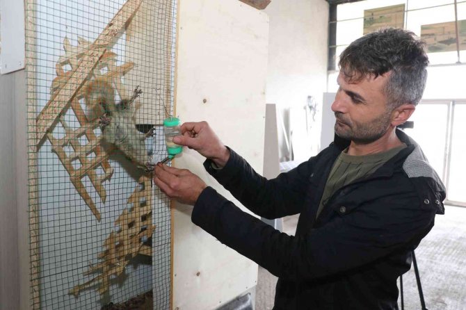 Bitkin Halde Bulup Beslediği Sincap Atölyenin Maskotu Oldu