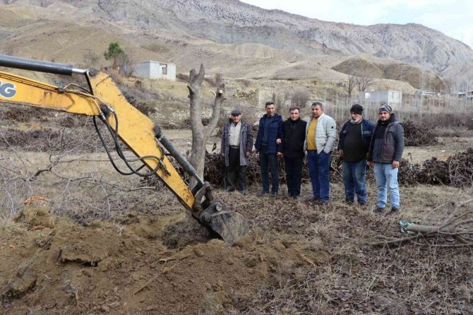 Meyve Bahçelerinin Ağaçlarını İş Makineleri İle Söküyorlar