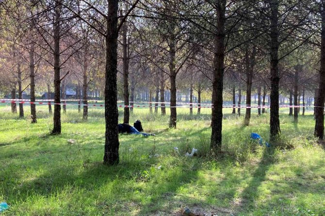 İ̇zmir’de Bir Genç Ormanlık Alanda Ölü Bulundu