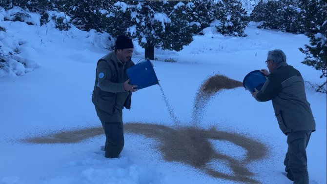 Doğada Yaşayan Hayvanlar Unutulmadı, Yoğun Kar Yağan Bölgelere Yem Bırakıldı