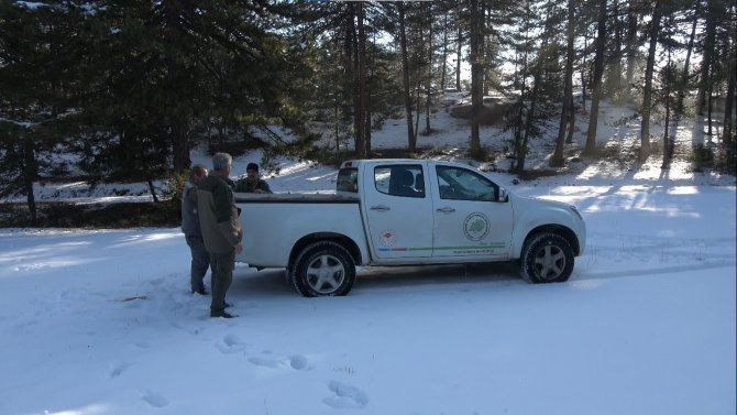 Doğada Yaşayan Hayvanlar Unutulmadı, Yoğun Kar Yağan Bölgelere Yem Bırakıldı