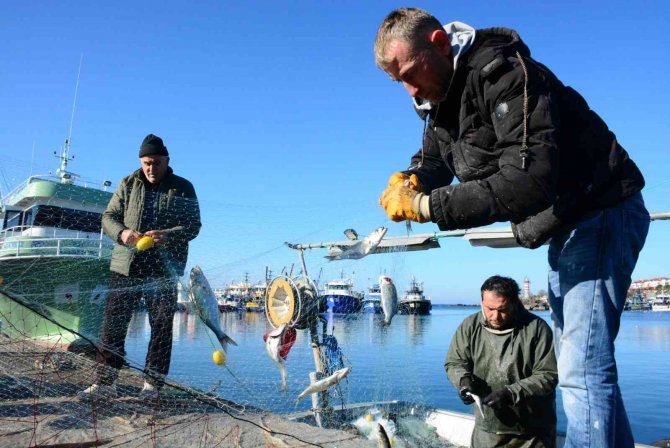 Karadeniz’in İncisi Çinekop, Yeni Yılın İlk Ayında Yüzleri Güldürdü