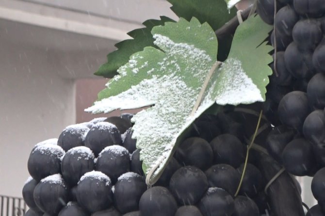 Muş’ta Kar Yağışı